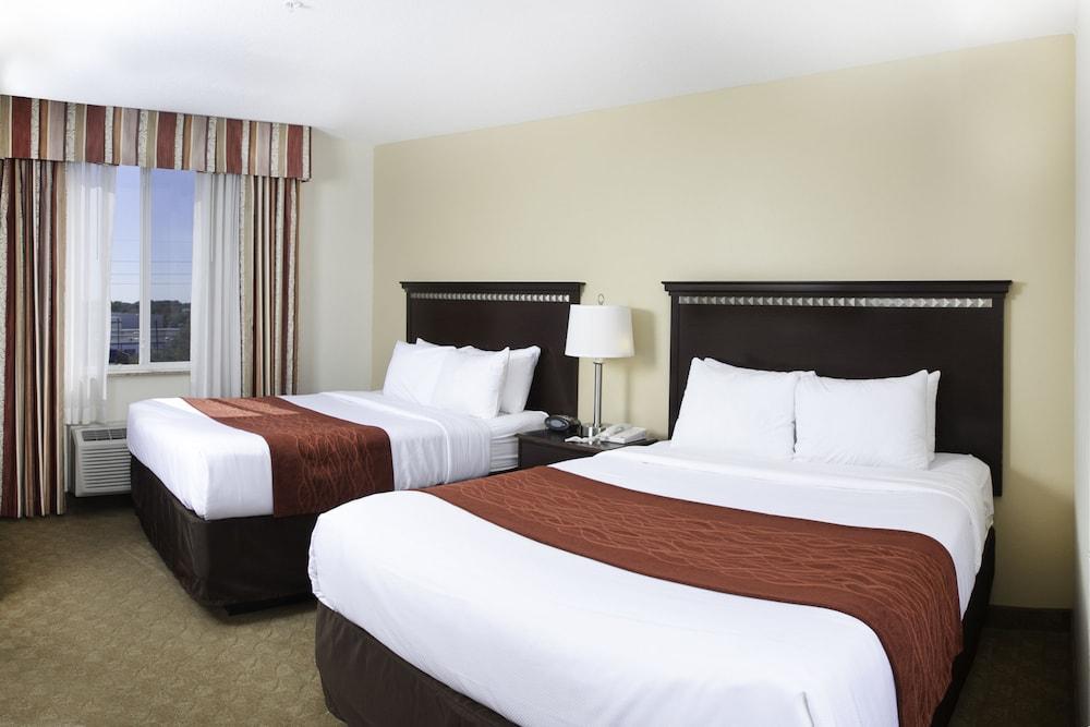 Comfort Suites Tampa Airport North Екстер'єр фото