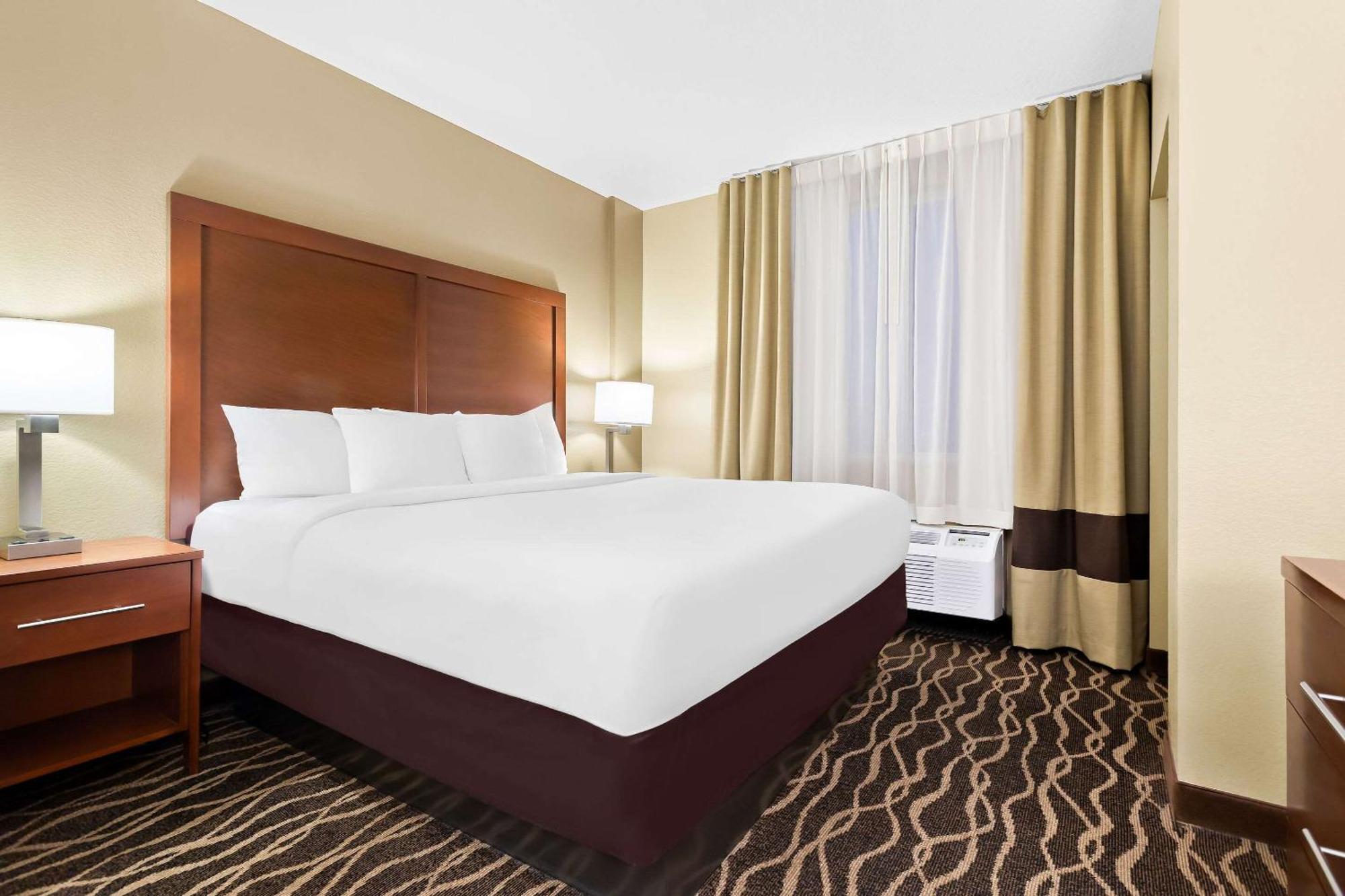 Comfort Suites Tampa Airport North Екстер'єр фото