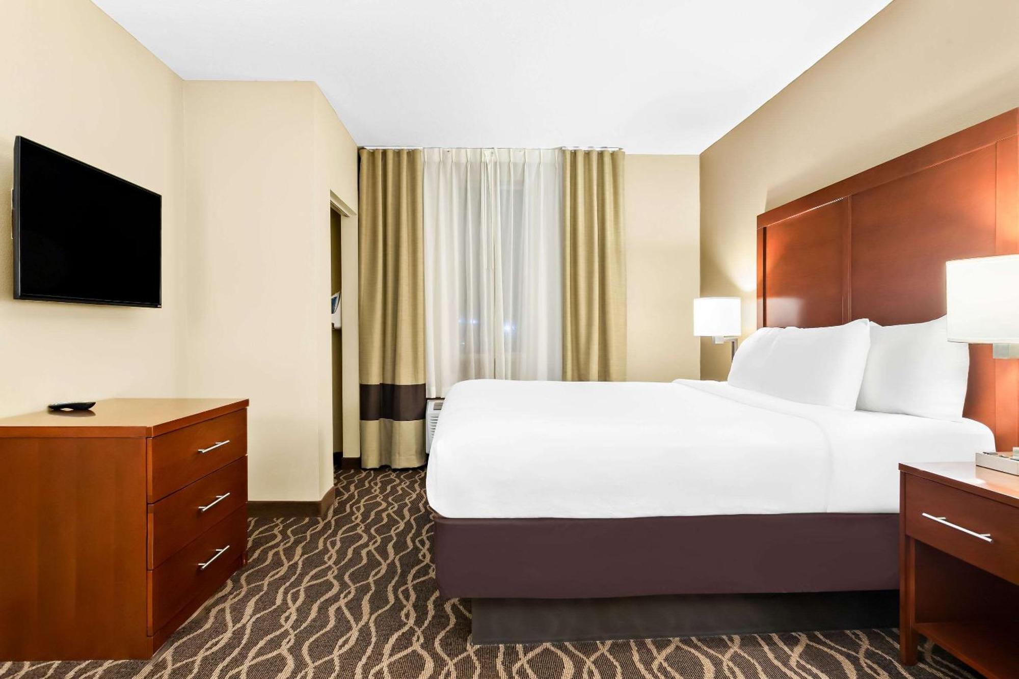 Comfort Suites Tampa Airport North Екстер'єр фото