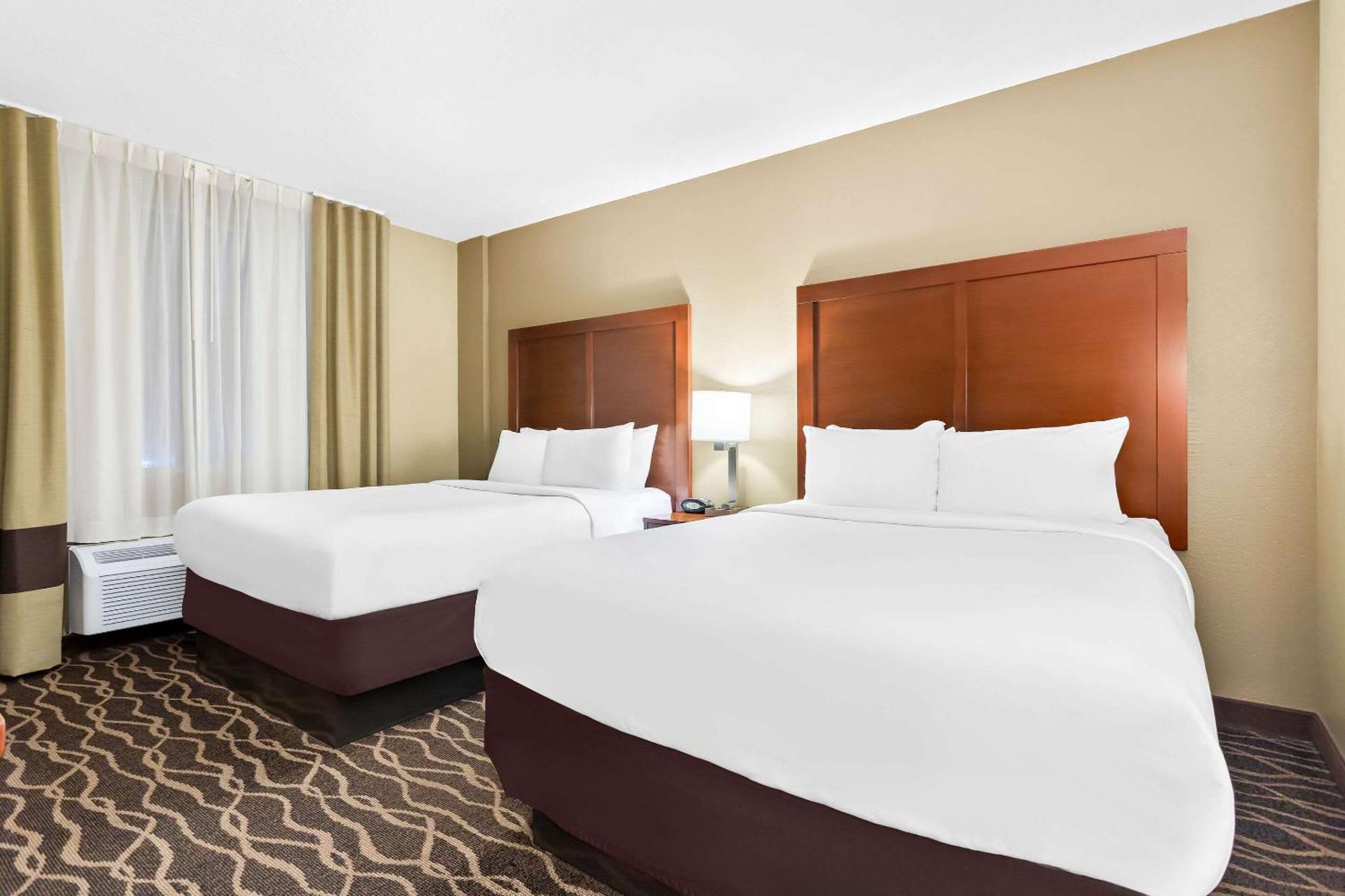 Comfort Suites Tampa Airport North Екстер'єр фото