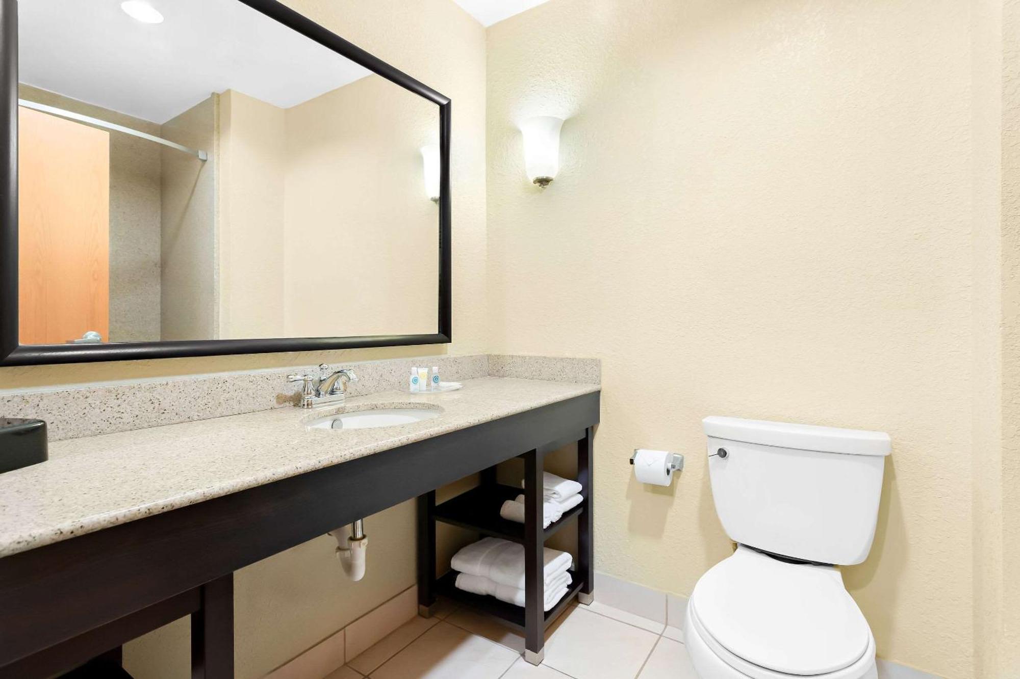 Comfort Suites Tampa Airport North Екстер'єр фото