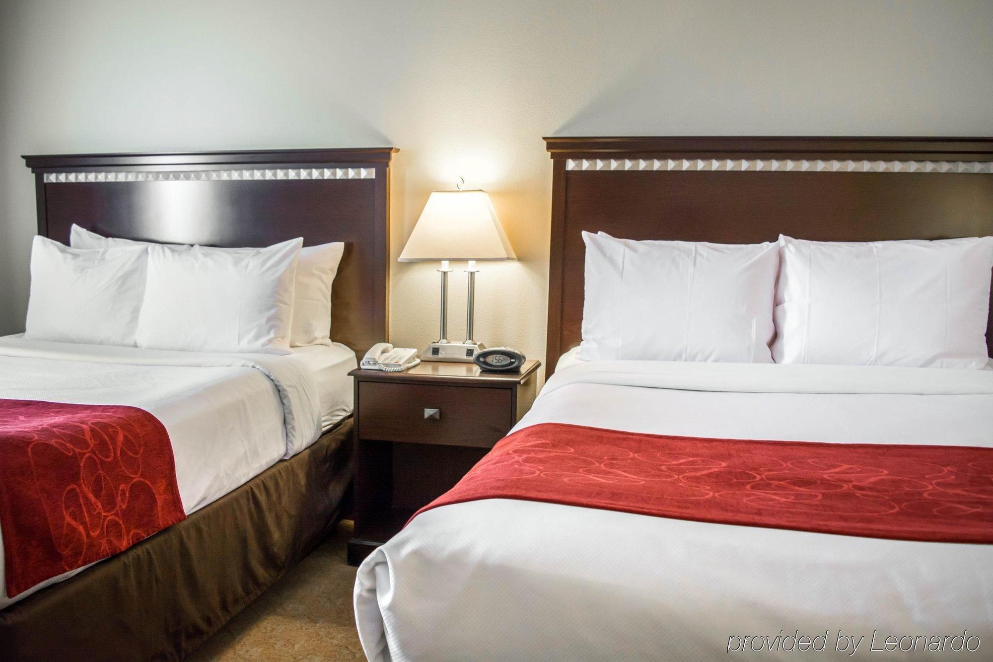 Comfort Suites Tampa Airport North Екстер'єр фото