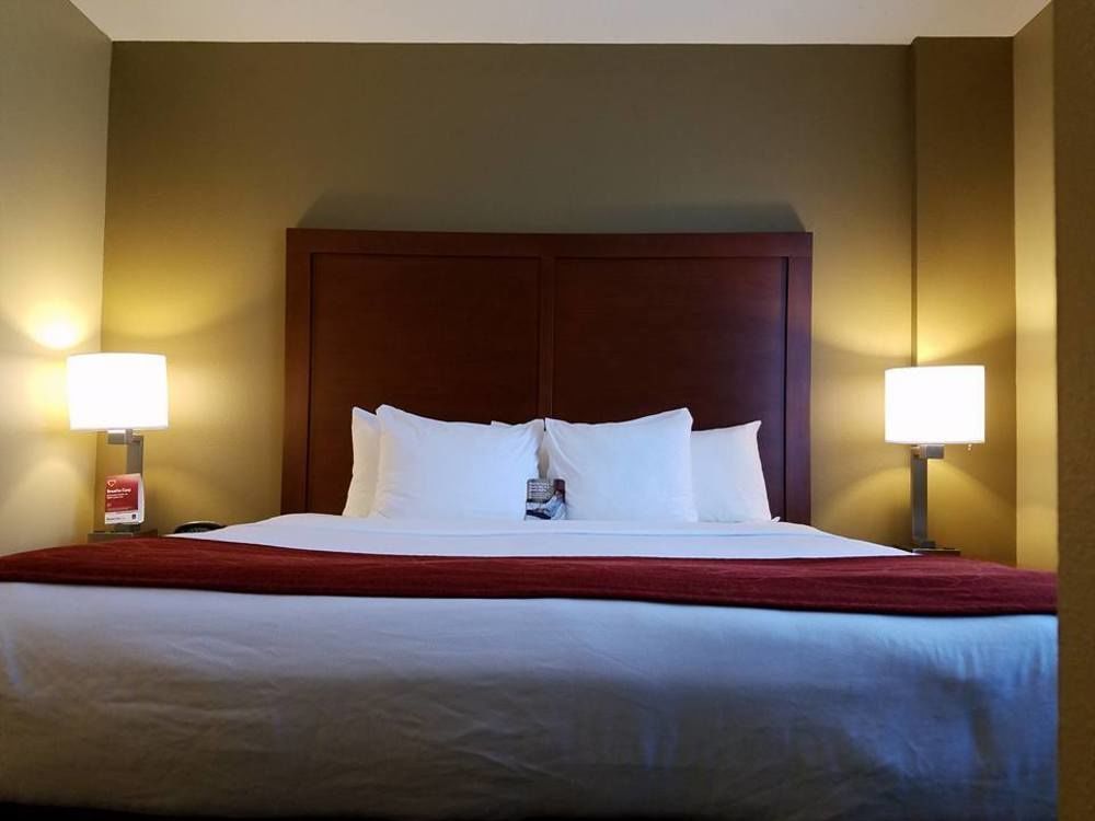 Comfort Suites Tampa Airport North Екстер'єр фото