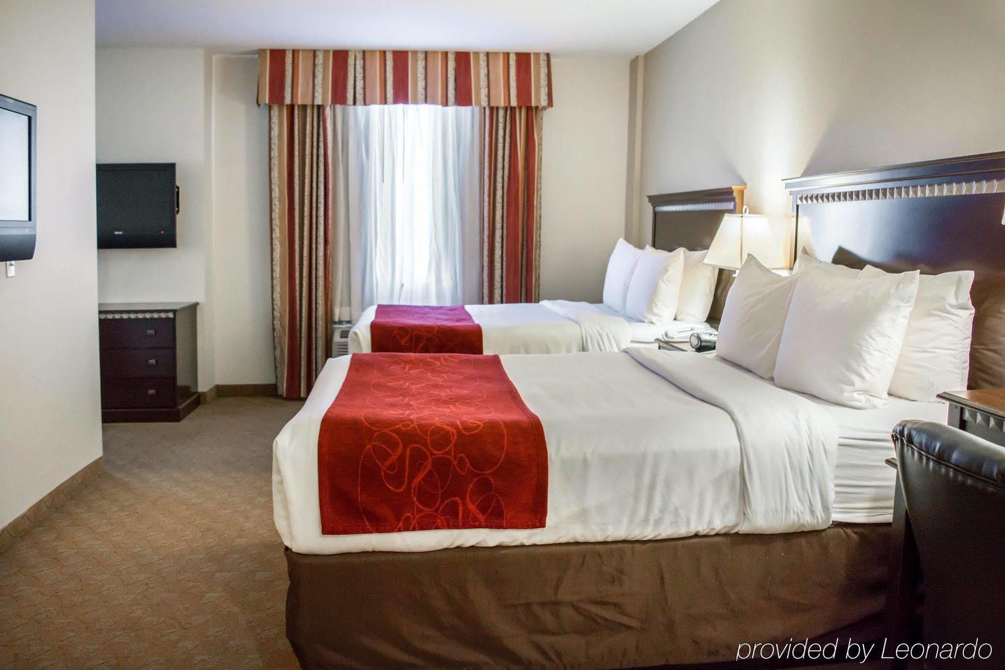 Comfort Suites Tampa Airport North Екстер'єр фото