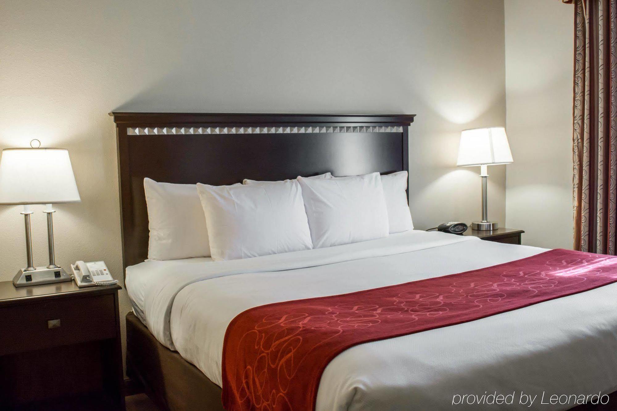 Comfort Suites Tampa Airport North Екстер'єр фото