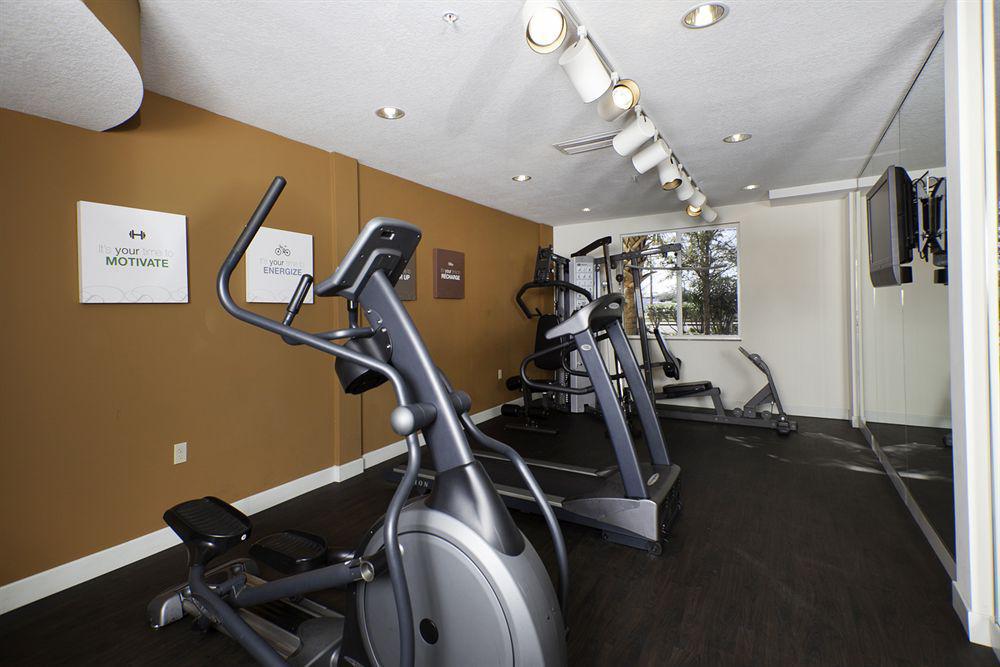 Comfort Suites Tampa Airport North Екстер'єр фото